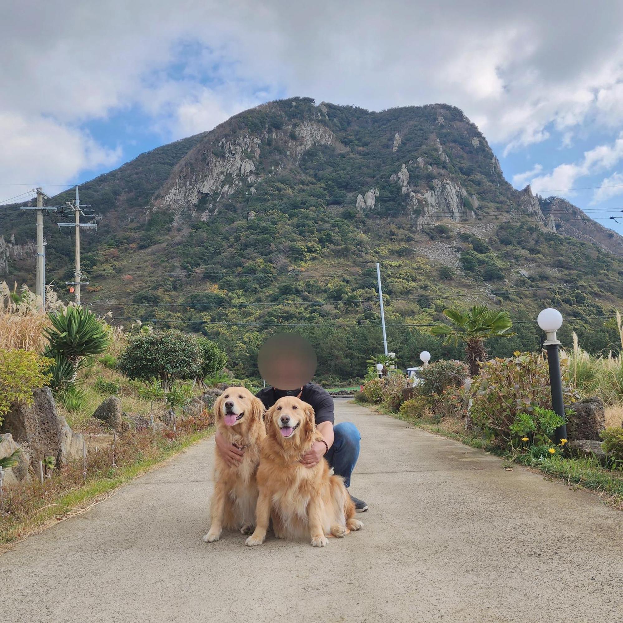 Jeju 542 Pension Согвипхо Экстерьер фото
